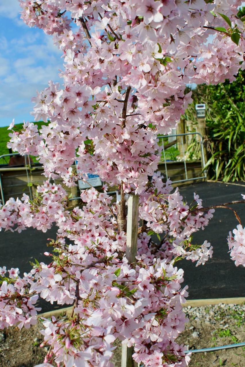 Arohanui Rural Retreat B&B 타우랑가 외부 사진